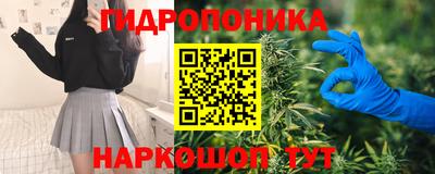 прущие грибы Рузаевка